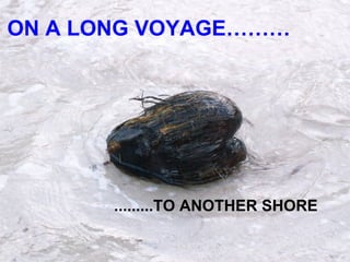 ON A LONG VOYAGE……… .........TO ANOTHER SHORE