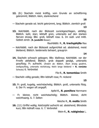 12. (8.) Stacheln meist kräftig, vom Grunde an sichelförmig
gekrümmt; Blättch. klein, starkriechend
16
— Stacheln gerade od. leicht gekrümmt, lang; Blättch. ziemlich groß
13
13. Kelchblätt. nach der Blütezeit zurückgeschlagen, abfällig;
Blättch. kahl, starr, lebhaft grün, unterseits auf den starken
Nerven drüsig; Blkr. groß, lebhaft rosa. 6. Im südl. und mittl.
Gebiet zerstr. (R. jundzíllii Besser)
Rauhblättr. R., R. trachyphýlla Rau
— Kelchblätt. nach der Blütezeit aufgerichtet od. abstehend, meist
bleibend; Blättch. beiderseits behaart, graugrün
14
14. Stacheln schwach gebogen; Blkr. blaßrosa; Kelchblätt. vor der
Frreife abfallend; Blättch. grob doppelt gesägt, unterseits
graufilzig; Fr. aufrecht. (Ändert ab: Blättch. 3fach drüsig gezähnt,
weißgraufilzig, unterseits reichdrüsig; Kelch lange bleibend = R. venústa
Scheutz) 6. Verbreitet
Filz-R., R. tomentósa Smith
— Stacheln völlig gerade; Bltn lebhaft rosa; Fr. nickend
15
15. Fr. groß, kugelig, weichstachelig; Blättch. groß, unterseits filzig.
6. Der Fr. wegen oft angepfl.
Apfel-R., R. pomífera Herrmann
— Fr. kleiner, nicht weichstachelig; Blättch. kleiner, dicht
weichhaarig. 6. 7. Selten
Weiche R., R. mollis Smith
16. (12.) Griffel wollig; Kelchzipfel aufrecht od. abstehend; Bltnstiele
kurz; Bltn lebhaft rosa. 6. 7. Verbreitet
Wein-R., R. rubiginósa L.
 