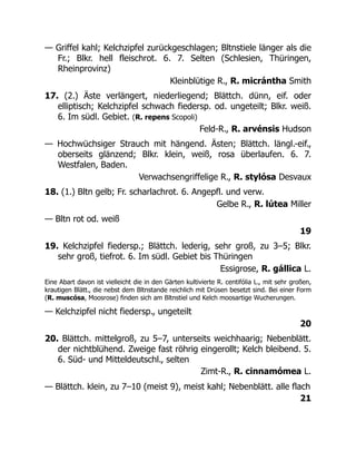 — Griffel kahl; Kelchzipfel zurückgeschlagen; Bltnstiele länger als die
Fr.; Blkr. hell fleischrot. 6. 7. Selten (Schlesien, Thüringen,
Rheinprovinz)
Kleinblütige R., R. micrántha Smith
17. (2.) Äste verlängert, niederliegend; Blättch. dünn, eif. oder
elliptisch; Kelchzipfel schwach fiedersp. od. ungeteilt; Blkr. weiß.
6. Im südl. Gebiet. (R. repens Scopoli)
Feld-R., R. arvénsis Hudson
— Hochwüchsiger Strauch mit hängend. Ästen; Blättch. längl.-eif.,
oberseits glänzend; Blkr. klein, weiß, rosa überlaufen. 6. 7.
Westfalen, Baden.
Verwachsengriffelige R., R. stylósa Desvaux
18. (1.) Bltn gelb; Fr. scharlachrot. 6. Angepfl. und verw.
Gelbe R., R. lútea Miller
— Bltn rot od. weiß
19
19. Kelchzipfel fiedersp.; Blättch. lederig, sehr groß, zu 3–5; Blkr.
sehr groß, tiefrot. 6. Im südl. Gebiet bis Thüringen
Essigrose, R. gállica L.
Eine Abart davon ist vielleicht die in den Gärten kultivierte R. centifólia L., mit sehr großen,
krautigen Blätt., die nebst dem Bltnstande reichlich mit Drüsen besetzt sind. Bei einer Form
(R. muscósa, Moosrose) finden sich am Bltnstiel und Kelch moosartige Wucherungen.
— Kelchzipfel nicht fiedersp., ungeteilt
20
20. Blättch. mittelgroß, zu 5–7, unterseits weichhaarig; Nebenblätt.
der nichtblühend. Zweige fast röhrig eingerollt; Kelch bleibend. 5.
6. Süd- und Mitteldeutschl., selten
Zimt-R., R. cinnamómea L.
— Blättch. klein, zu 7–10 (meist 9), meist kahl; Nebenblätt. alle flach
21
 