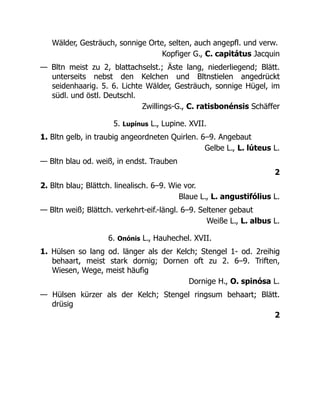 Wälder, Gesträuch, sonnige Orte, selten, auch angepfl. und verw.
Kopfiger G., C. capitátus Jacquin
— Bltn meist zu 2, blattachselst.; Äste lang, niederliegend; Blätt.
unterseits nebst den Kelchen und Bltnstielen angedrückt
seidenhaarig. 5. 6. Lichte Wälder, Gesträuch, sonnige Hügel, im
südl. und östl. Deutschl.
Zwillings-G., C. ratisbonénsis Schäffer
5. Lupínus L., Lupine. XVII.
1. Bltn gelb, in traubig angeordneten Quirlen. 6–9. Angebaut
Gelbe L., L. lúteus L.
— Bltn blau od. weiß, in endst. Trauben
2
2. Bltn blau; Blättch. linealisch. 6–9. Wie vor.
Blaue L., L. angustifólius L.
— Bltn weiß; Blättch. verkehrt-eif.-längl. 6–9. Seltener gebaut
Weiße L., L. albus L.
6. Onónis L., Hauhechel. XVII.
1. Hülsen so lang od. länger als der Kelch; Stengel 1- od. 2reihig
behaart, meist stark dornig; Dornen oft zu 2. 6–9. Triften,
Wiesen, Wege, meist häufig
Dornige H., O. spinósa L.
— Hülsen kürzer als der Kelch; Stengel ringsum behaart; Blätt.
drüsig
2
 
