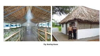 646066630-Lecture-Rearing-house-and-rearing-appliances-of-mulberry ...