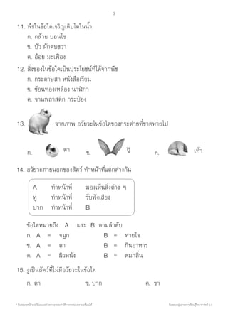 * ข้อสอบชุดนี้ห้ามน�ำไปเผยแพร่ เพราะอาจจะท�ำให้การทดสอบคลาดเคลื่อนได้ ข้อสอบกลุ่มสาระการเรียนรู้วิทยาศาสตร์ ป.1
3
11.	พืชในข้อใดเจริญเติบโตในน�้ำ
	 	ก.	กล้วย บอนไซ	
	 	ข.	บัว ผักตบชวา	
	 	ค.	อ้อย มะเฟือง
12.	สิ่งของในข้อใดเป็นประโยชน์ที่ได้จากพืช
	 	ก.	กระดาษสา หนังสือเรียน
	 	ข.	ช้อนทองเหลือง นาฬิกา 		
	 	ค.	จานพลาสติก กระป๋อง	
	13.		           จากภาพ อวัยวะในข้อใดของกระต่ายที่ขาดหายไป
	 	
	 	ก.		 ข.	 	 	 ค.
	 	ข้อใดหมายถึง   A    และ  B  ตามล�ำดับ
	 	ก.  	A  	=	 จมูก    	 B  	=  	 หายใจ
	 	ข.	 A	 =	 ตา 	 B 	 = 	 กินอาหาร
	 	ค.	 A  	= 	 ผิวหนัง  	 B  	=  	 ดมกลิ่น	
	15.	งูเป็นสัตว์ที่ไม่มีอวัยวะในข้อใด
	 	ก.	ตา	 ข. ปาก	 ค.	 ขา
ตา หู เท้า
14.	อวัยวะภายนอกของสัตว์ ท�ำหน้าที่แตกต่างกัน
	 	   A     	 ท�ำหน้าที่   	 มองเห็นสิ่งต่าง ๆ
	 	   หู     	 ท�ำหน้าที่   	 รับฟังเสียง
	 	   ปาก  	 ท�ำหน้าที่   	 B
 