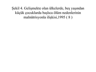 Şekil 4. Gelişmekte olan ülkelerde, beş yaşından
  küçük çocuklarda başlıca ölüm nedenlerinin
        malnütrisyonla ilişkisi,1995 ( 8 )
 