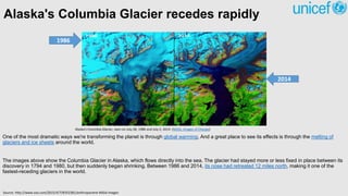 Alaska's Columbia Glacier recedes rapidly
One of the most dramatic ways we're transforming the planet is through global warming. And a great place to see its effects is through the melting of
glaciers and ice sheets around the world.
The images above show the Columbia Glacier in Alaska, which flows directly into the sea. The glacier had stayed more or less fixed in place between its
discovery in 1794 and 1980, but then suddenly began shrinking. Between 1986 and 2014, its nose had retreated 12 miles north, making it one of the
fastest-receding glaciers in the world.
Alaska's Columbia Glacier, seen on July 28, 1986 and July 2, 2014. (NASA, Images of Change)
Source: http://www.vox.com/2015/4/7/8352381/anthropocene-NASA-images
1986
2014
 
