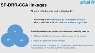 SP-DRR-CCA linkages
CCA DRR
SP
All work with the poor and vulnerable to;
Increase their resilience to withstand shocks
•Improve their ability to reduce and manage risks
Social Protection approaches have been successfully used to
1. Reduce disaster and climate‐related impacts on the poorest
2. Protect the poor from total destitution
3. Enhance ability of the poor and vulnerable to reduce existing disaster
risks and adapt to new and evolving risks due to CC
 