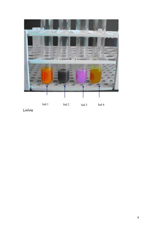 Ind 1   Ind 2   Ind 3   Ind 4
Lixívia




                                          4
 