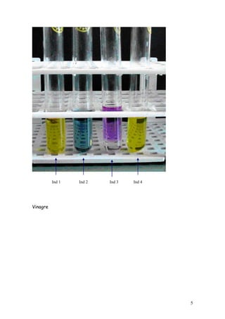 Ind 1   Ind 2   Ind 3   Ind 4




Vinagre




                                          5
 