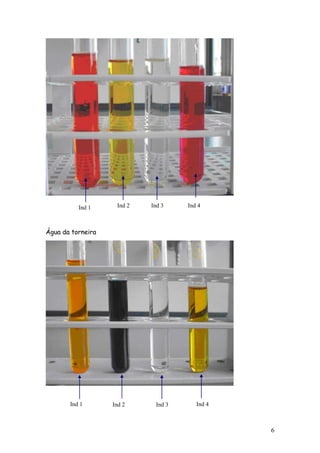 Ind 1     Ind 2   Ind 3    Ind 4



Água da torneira




       Ind 1       Ind 2     Ind 3      Ind 4



                                                6
 