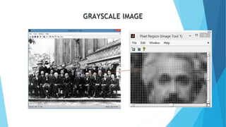GRAYSCALE IMAGE
 