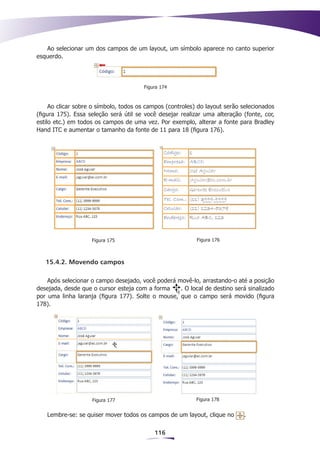 Ao selecionar um dos campos de um layout, um símbolo aparece no canto superior
esquerdo.




                                       Figura 174



     Ao clicar sobre o símbolo, todos os campos (controles) do layout serão selecionados
(figura 175). Essa seleção será útil se você desejar realizar uma alteração (fonte, cor,
estilo etc.) em todos os campos de uma vez. Por exemplo, alterar a fonte para Bradley
Hand ITC e aumentar o tamanho da fonte de 11 para 18 (figura 176).




                    Figura 175                             Figura 176



   15.4.2. Movendo campos

    Após selecionar o campo desejado, você poderá movê-lo, arrastando-o até a posição
desejada, desde que o cursor esteja com a forma    . O local de destino será sinalizado
por uma linha laranja (figura 177). Solte o mouse, que o campo será movido (figura
178).




                    Figura 177                             Figura 178


   Lembre-se: se quiser mover todos os campos de um layout, clique no       .

                                           116
 