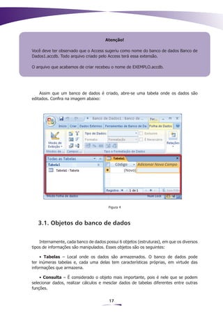 Atenção!

Você deve ter observado que o Access sugeriu como nome do banco de dados Banco de
Dados1.accdb. Todo arquivo criado pelo Access terá essa extensão.

O arquivo que acabamos de criar recebeu o nome de EXEMPLO.accdb.




    Assim que um banco de dados é criado, abre-se uma tabela onde os dados são
editados. Confira na imagem abaixo:




                                        Figura 4



   3.1. Objetos do banco de dados


    Internamente, cada banco de dados possui 6 objetos (estruturas), em que os diversos
tipos de informações são manipulados. Esses objetos são os seguintes:

    • Tabelas – Local onde os dados são armazenados. O banco de dados pode
ter inúmeras tabelas e, cada uma delas tem características próprias, em virtude das
informações que armazena.

    • Consulta – É considerado o objeto mais importante, pois é nele que se podem
selecionar dados, realizar cálculos e mesclar dados de tabelas diferentes entre outras
funções.


                                        17
 