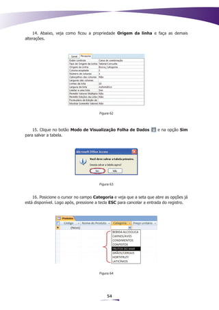 14. Abaixo, veja como ficou a propriedade Origem da linha e faça as demais
alterações.




                                       Figura 62




    15. Clique no botão Modo de Visualização Folha de Dados           e na opção Sim
para salvar a tabela.




                                       Figura 63


    16. Posicione o cursor no campo Categoria e veja que a seta que abre as opções já
está disponível. Logo após, pressione a tecla ESC para cancelar a entrada do registro.




                                       Figura 64




                                           54
 
