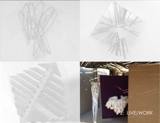 P1.2: PAVILIONP2: LIVE/WORK
 