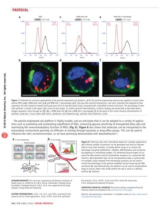 ©2014NatureAmerica,Inc.Allrightsreserved.
protocol
244 | VOL.9 NO.2 | 2014 | nature protocols
The particle-engineered cell platform is highly tunable, and we anticipate that it can be adapted to a variety of applica-
tions such as promoting and accelerating engraftment of HSCs, enhancing glucose sensitivity of transplanted beta cells and
maximizing the immunomodulatory function of MSCs (Fig. 8). Figure 8 also shows that molecules can be transported to the
extracellular environment passively via diffusion or actively through exosomes or drug efflux pumps. This can be used to
influence the cell’s microenvironment, as we have previously demonstrated with dexamethasone11.
ea
fdb
MSC
1,600
1,000
500
0
V2-L
2.9%
GATE (P1 in all)
V2-R
97.1%
10
1
10
2
10
3
10
4
FL2-A
10
5
10
6
10
7.2
c MIN6 beta cells
GATE (P1 in all)
V1-R
46.7%
1,600
1,000
500
0
V1-L
53.3%
10
1
10
2
10
3
10
4
FL2-A
10
5
10
6
10
7.2
RAW 264.7 macrophage
GATE (P1 in all)
V3-R
94.8%
1,600
1,000
500
0
V3-L
5.2%
10
1
10
2
10
3
10
4
FL2-A
10
5
10
6
10
7.2
Figure 7 | Potential for universal applicability of the particle-engineered cell platform. (a–f) The particle engineering protocol was applied to human bone
marrow MSCs (a,b), MIN6 beta cells (c,d) and RAW 264.7 macrophages (e,f). One day after particle engineering, cells were collected and analyzed by flow
cytometry. All cells showed increased red fluorescence (FL2-A channel) (black lines) compared with unmodified controls (red lines). The percentage of cells
with particles is stated in the upper right corner of each graph. To confirm particle internalization, confocal imaging was performed as described above.
Images represent a slice through an MSC (b), a MIN6 beta cell (d) and a RAW 264.7 macrophage (f) at the plane of the nuclei showing internalization of
particles. Scale bars, 10 µm. Green (DiO stain), membrane; red (rhodamine 6g), particles; blue (Hoechst), nuclei.
Count
Secretion
Naive MSC
Engineered MSC
ProliferationTracking
Viability DifferentiationSecretome
Particle toolbox
In vivo controlIn vitro engineering
Drug delivery
Enhanced secretome
a b
i
iii
ii
Drug delivery
Figure 8 | Tailoring cells with intracellular depots for multiple applications.
(a) A diverse toolbox of particles can be generated and used to engineer
cells to track their location, to locally deliver drugs or to control cell
phenotype including proliferation, viability, differentiation and secretome
by targeting (i) intracellular targets, (ii) membrane-bound targets (in an
autocrine-like manner) and iii) extracellular receptors (in a paracrine-like
manner). (b) Engineered cells can be transplanted locally or systemically.
For example, drugs released from intracellular particles can be used to
control the phenotype of the particle-modified cell by enhancing the MSC
secretome (b, top) Alternatively, the platform can be used to locally deliver
drugs to tissues where cells reside (where the cell is used as a delivery
vehicle) (b, bottom).
Acknowledgments This work was supported by US National Institutes of
Health grant no. HL095722 to J.M.K. and by a Movember–Prostate Cancer
Foundation Challenge Award to J.M.K. J.A.A. was supported by the Hugh
Hampton Young Memorial Fellowship.
AUTHOR CONTRIBUTIONS  J.A.A., C.X., D.S., and J.M.K. conceived of the
protocol and its initial applications. J.A.A., O.R.M. and K.S.N. optimized
the protocol. J.A.A., O.R.M., K.S.N. and J.M.K. wrote the manuscript.
J.A.A. designed and prepared all figures.
COMPETING FINANCIAL INTERESTS The authors declare competing financial
interests: details are available in the online version of the paper.
Reprints and permissions information is available online at http://www.nature.
com/reprints/index.html.
 