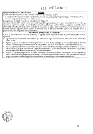 PROGRAMA CURRICULAR DE EDUCACIÓN SECUNDARIA 2017