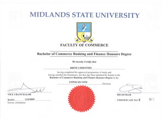 Bcom honours Finance | PDF