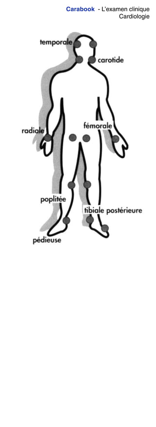 Carabook - L’examen clinique
Cardiologie
 
