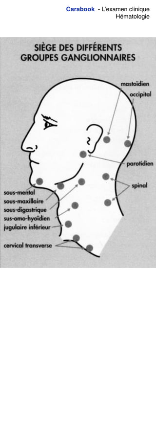 Carabook - L’examen clinique
Hématologie
 