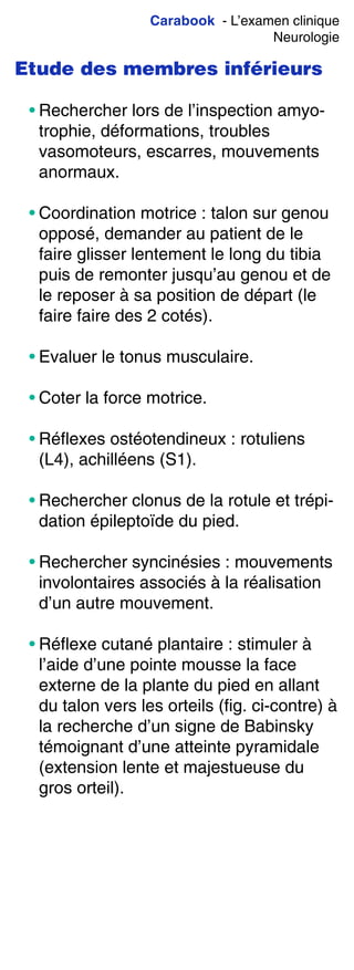 Carabook - L’examen clinique
Neurologie
Etude des membres inférieurs
• Rechercher lors de l’inspection amyo-
trophie, déformations, troubles
vasomoteurs, escarres, mouvements
anormaux.
• Coordination motrice : talon sur genou
opposé, demander au patient de le
faire glisser lentement le long du tibia
puis de remonter jusqu’au genou et de
le reposer à sa position de départ (le
faire faire des 2 cotés).
• Evaluer le tonus musculaire.
• Coter la force motrice.
• Réflexes ostéotendineux : rotuliens
(L4), achilléens (S1).
• Rechercher clonus de la rotule et trépi-
dation épileptoïde du pied.
• Rechercher syncinésies : mouvements
involontaires associés à la réalisation
d’un autre mouvement.
• Réflexe cutané plantaire : stimuler à
l’aide d’une pointe mousse la face
externe de la plante du pied en allant
du talon vers les orteils (fig. ci-contre) à
la recherche d’un signe de Babinsky
témoignant d’une atteinte pyramidale
(extension lente et majestueuse du
gros orteil).
 
