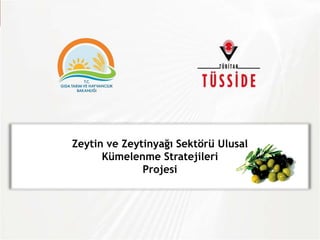Zeytin ve Zeytinyağı Sektörü Ulusal
Kümelenme Stratejileri
Projesi
 