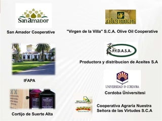 San Amador Cooperative "Virgen de la Villa" S.C.A. Olive Oil Cooperative
IFAPA
Productora y distribucion de Aceites S.A
Cordoba Üniversitesi
Cortijo de Suerte Alta
Cooperativa Agraria Nuestra
Señora de las Virtudes S.C.A
 