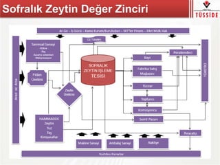 Sofralık Zeytin Değer Zinciri
 