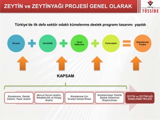 ZEYTİN ve ZEYTİNYAĞI PROJESİ GENEL OLARAK
Kümelenme, Destek
Sistemi, Pazar Analizi
Mevcut Durum Analizi,
Rekabetçilik ve İhtiyaç
Analizi
Kümelenme İçin
Strateji Geliştirilmesi
Kümelenmeye Yönelik
Destek Sisteminin
Oluşturulması
ZEYTİN ve ZEYTİNYAĞI
KÜMELENME PROJESİ
KAPSAM
İhracat Verimlilik
Yerel
Kalkınma
Farkındalık
Kümelenme
Projesi
Türkiye’de ilk defa sektör odaklı kümelenme destek programı tasarımı yapıldı
 