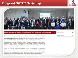 Bölgesel SWOT/ Gaziantep
 