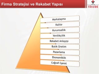 Firma Stratejisi ve Rekabet Yapısı
 