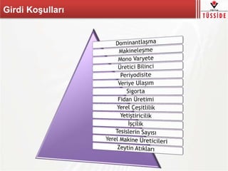 Girdi Koşulları
 
