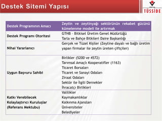 Destek Programının Amacı
Zeytin ve zeytinyağı sektörünün rekabet gücünü
kümelenme modeli ile artırmak
Destek Programı Otoritesi
GTHB – Bitkisel Üretim Genel Müdürlüğü
Tarla ve Bahçe Bitkileri Daire Başkanlığı
Nihai Yararlanıcı
Gerçek ve Tüzel Kişiler (Zeytine dayalı ve bağlı üretim
yapan firmalar ile zeytin üreten çiftçiler)
Uygun Başvuru Sahibi
Birlikler (5200 ve 4572)
Tarımsal Amaçlı Kooperatifler (1163)
Ticaret Borsaları
Ticaret ve Sanayi Odaları
Ziraat Odaları
Sektör ile İlgili Dernekler
İhracatçı Birlikleri
Katkı Verebilecek
Kolaylaştırıcı Kuruluşlar
(Referans Mektubu)
Valilikler
Kaymakamlıklar
Kalkınma Ajansları
Üniversiteler
Belediyeler
 