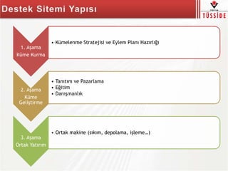 1. Aşama
Küme Kurma
• Kümelenme Stratejisi ve Eylem Planı Hazırlığı
2. Aşama
Küme
Geliştirme
• Tanıtım ve Pazarlama
• Eğitim
• Danışmanlık
3. Aşama
Ortak Yatırım
• Ortak makine (sıkım, depolama, işleme…)
 