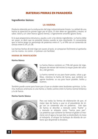MATERIAS PRIMAS EN PANADERÍA

     Ingredientes básicos:

                                          LA HARINA
     Producto obtenido por la molturación del trigo industrialmente limpio. La calidad de una
     harina se apreciará en primer lugar por el tacto. El olor debe ser agradable y neutro; el
     sabor, dulce y un color blanco (grano tierno), o ligeramente amarillo (grano duro).

     Es la que proporciona estructura y ayuda a unir a los demás ingredientes. La harina debe
     ser suave, es decir que no presente dureza cuando se esta mezclando. Es conveniente
     que la harina tenga un porcentaje de proteínas entre el 7 y el 9% con un contenido de
     cenizas entre 0.34 y 0.38.

     Las harinas hechas de este trigo son suaves al tacto, se compactan fácilmente al apretarlas
     con las manos, no corren, ni polvean con facilidad.

     HARINA DE PANIFICACIÓN

     Harina blanca

                                       La harina blanca contiene un 75% del grano de trigo,
                                       después de extraer del mismo la mayor parte del salva-
                                       do y del germen.

                                       La harina normal se usa para hacer pastas, salsas y ga-
                                       lletas, mientras la harina de fuerza, que contiene un
                                       agente leudante, se usa para hacer pasteles, bollos y
                                       budines.

     También puede usarse para hacer pan al que se añaden otros leudantes químicos. La ha-
     rina multiuso americana es una harina a medio camino entre la harina normal británica
     y la de fuerza.

     Harina fuerte blanca

                                       Para casi todas las formas de elaboración de pan, el
                                       mejor tipo de harina a usar es el procedente de tri-
                                       go con un contenido alto en proteínas. Este tipo
                                       de harina se describe a menudo como “fuerte” y
                                       a menudo se etiqueta como “harina para pan”.
                                       Las proteínas que contiene las forman el gluten al mez-
                                       clarse con el agua y las que dan su elasticidad a la masa
                                       al trabajarla, al atrapar las burbujas de dióxido de car-
                                       bono que desprende la levadura.




40                                                              Guía del Estudiante - Panadería
 