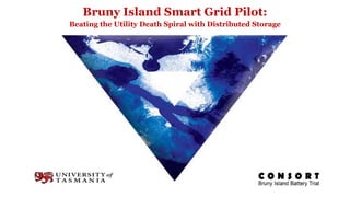 FACULTY OF
ARTS
Bruny Island Smart Grid Pilot:
Beating the Utility Death Spiral with Distributed Storage
 