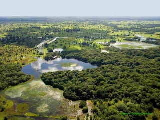 courtesy of : Geografia Caiman.com
 