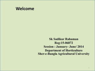 Welcome
Sk Sadikur Rahaman
Reg:15-06872
Session : January- June/ 2014
Department of Horticulture
Sher-e-Bangla Agricultural University
1
 
