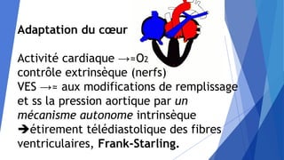 Adaptation du cœur
Activité cardiaque →≈O2
contrôle extrinsèque (nerfs)
VES →≈ aux modifications de remplissage
et ss la pression aortique par un
mécanisme autonome intrinsèque
étirement télédiastolique des fibres
ventriculaires, Frank-Starling.
 