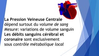 La Pression Veineuse Centrale
dépend surtout du volume de sang
Mesure: variations de volume sanguin
Les débits sanguins cérébral et
coronaire sont exclusivement
sous contrôle métabolique local
 