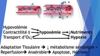 Hypovolémie
Contractilité ‡ hypoxémie ↓Nutriments
Transport d’O2↓ Hypoxie
Adaptation Tissulaire  ↓ métabolisme aérobique +
Reperfusion Anaérobie Apoptose, Nécrose
 