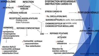 HYPOVOLÉMIE
V3 INTRA-VX
INFECTION
CAPACITANCE
VENEUSE
PRESSION VEINEUSE
DYSFONCTION MYOCARDIQUE
OBSTRUCTION CARDIO-VX
PERFUSION RÉNALE
RECEPTEURS VASODILATATEURS
Oreillette droite
Artère Pulmonaire
AP.
JUXTAGLOMERULAIRE
RENAL
Contractilité cardiaque
vasoconstriction
flow redistribution
REPONSE SYMPATHETIQUEHORMONES
épinépherine
norepinephrine
rénine/angiotensine
aldostérone
rétention Na/H2O
contractilité cardiaque
vasoconstriction
redistribution Circul.
STRESS CARDIO-VX
Po, CIRCULATION( MAP)
BARORECEPTEURS(Arc aortic, tronc carotidien)
CHEMORECEPTEUR VX(carotide, aorte)
CHEMORECEPTEUR MEDULLAIRE
CNS REPONSE PITUITAIRE
ACTH/ADH
cortisol
aldostérone
Rétention Na
maintien cardio-vx
réponses catecholamines Kumar and Parrillo, 2001
 