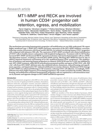 Research article
492	 The Journal of Clinical Investigation    http://www.jci.org    Volume 119    Number 3    March 2009
MT1-MMP and RECK are involved
in human CD34+ progenitor cell
retention, egress, and mobilization
Yaron Vagima,1 Abraham Avigdor,1,2 Polina Goichberg,1 Shoham Shivtiel,1
Melania Tesio,1 Alexander Kalinkovich,1 Karin Golan,1 Ayelet Dar,1 Orit Kollet,1
Isabelle Petit,1 Orly Perl,2 Ester Rosenthal,2 Igor Resnick,3 Izhar Hardan,2
Yechiel N. Gellman,4 David Naor,4 Arnon Nagler,2 and Tsvee Lapidot1
1Department of Immunology, Weizmann Institute of Science, Rehovot, Israel. 2Department of Hematology and Bone Marrow Transplantation,
Chaim Sheba Medical Center, Tel Hashomer, Israel. 3Department of Bone Marrow Transplantation and Cancer Immunotherapy and
4Lautenberg Center for General and Tumor Immunology, The Hebrew University — Hadassah Medical School, Jerusalem, Israel.
The mechanisms governing hematopoietic progenitor cell mobilization are not fully understood. We report
higher membrane type 1–MMP (MT1-MMP) and lower expression of the MT1-MMP inhibitor, reversion-
inducing cysteine-rich protein with Kazal motifs (RECK), on isolated circulating human CD34+ progenitor
cells compared with immature BM cells. The expression of MT1-MMP correlated with clinical mobilization
of CD34+ cells in healthy donors and patients with lymphoid malignancies. Treatment with G-CSF further
increased MT1-MMP and decreased RECK expression in human and murine hematopoietic cells in a PI3K/
Akt-dependent manner, resulting in elevated MT1-MMP activity. Blocking MT1-MMP function by Abs or
siRNAs impaired chemotaxis and homing of G-CSF–mobilized human CD34+ progenitors. The mobiliza-
tion of immature and maturing human progenitors in chimeric NOD/SCID mice by G-CSF was inhibited by
anti–MT1-MMP treatment, while RECK neutralization promoted motility and egress of BM CD34+ cells. BM
c-kit+ cells from MT1-MMP–deficient mice also exhibited inferior chemotaxis, reduced homing and engraft-
ment capacities, and impaired G-CSF–induced mobilization in murine chimeras. Membranal CD44 cleavage
by MT1-MMP was enhanced following G-CSF treatment, reducing CD34+ cell adhesion. Accordingly, CD44-
deficient mice had a higher frequency of circulating progenitors. Our results reveal that the motility, adhesion,
homing, and mobilization of human hematopoietic progenitor cells are regulated in a cell-autonomous man-
ner by dynamic and opposite changes in MT1-MMP and RECK expression.
Introduction
Release of hematopoietic progenitor cells (HPCs) to the circula-
tion is the outcome of signals provided by cytokines, chemokines,
adhesion molecules, proteolytic enzymes, and their inhibitors,
resulting in prevention of HPC retention in the BM and induction
of egress and recruitment of immature cells (1). Clinical mobiliza-
tion of immature human CD34+ cells to the peripheral blood (PB)
mimics enhancement of their physiological egress from the BM in
response to stress signals during injury and inflammation and is
achieved by chemotherapy and/or repeated G-CSF stimulations.
Understanding the molecular pathways governing egress of pro-
genitor cells from the BM to the circulation has major relevance
for clinical stem cell mobilization and transplantation protocols.
Accumulating data indicate that G-CSF–induced leukocyte pro-
liferation and recruitment from the BM are mediated by secreted
MMP-9 as well as several serine proteases, including elastase and
cathepsins G and K (1–4). For instance, cell membrane peptidase
CD26/DPPIV has also been implicated in G-CSF mobilization of
murine progenitor cells (5). In the course of mobilization, these
proteolytic enzymes cleave cell membrane– and ECM-anchored
molecules such as VCAM-1, c-kit, CXCR4, and SDF-1, affecting
cell adhesion and chemotaxis, though mice that lack some of these
proteases display unimpaired responses to G-CSF (reviewed in ref.
6). These findings indicate that distinct, nonoverlapping processes
and multiple levels of regulation are involved in HPC egress and
mobilization from the BM.
MMPs are members of the diverse family of proteases, which
mediate changes in tissue structure and cellular behavior both in
normal and disease conditions, and are key regulators of cell motil-
ity (7). Function of membrane type 1–MMP (MT1-MMP) is essential
for angiogenesis, wound healing, and connective tissue remodeling
(8), tumor growth and metastasis (9–11), and monocyte migra-
tion in vitro (12). MT1-MMP promotes cell invasion and motility
by pericellular ECM degradation as well as shedding of cell adhe-
sion molecules, such as CD44 (8). We have formerly reported that
adhesion and homing of immature human CD34+ cells to the BM
of immunodeficient mice is CD44 dependent (13). Of interest, clini-
cal data reveal that membranal levels of several adhesion receptors,
including CD44, are diminished on human G-CSF–mobilized HPCs
relative to BM-resident CD34+ HPCs (14, 15).
Among numerous regulatory mechanisms, MT1-MMP activity
is tightly controlled under normal and pathophysiological con-
ditions by endogenous inhibitors (16). Reversion-inducing cys-
teine-rich protein with Kazal motifs (RECK) is a transformation
Authorship note: Yaron Vagima, Abraham Avigdor, and Polina Goichberg contrib-
uted equally to this work.
Conflict of interest: The authors have declared that no conflict of interest exists.
Nonstandard abbreviations used: HPC, hematopoietic progenitor cell; MT1-MMP,
membrane type 1–MMP; MPB, mobilized PB; PB, peripheral blood; RECK, reversion-
inducing cysteine-rich protein with Kazal motifs; rh-, recombinant human.
Citation for this article: J. Clin. Invest. 119:492–503 (2009). doi:10.1172/JCI36541.
 