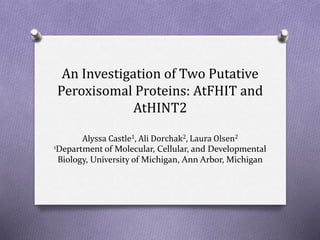 An Investigation of Two Putative
Peroxisomal Proteins: AtFHIT and
AtHINT2
Alyssa Castle1, Ali Dorchak2, Laura Olsen2
1Department of Molecular, Cellular, and Developmental
Biology, University of Michigan, Ann Arbor, Michigan
 