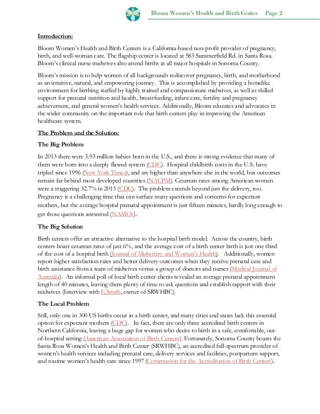 bloom business plan final r kendall birth plan introduction
