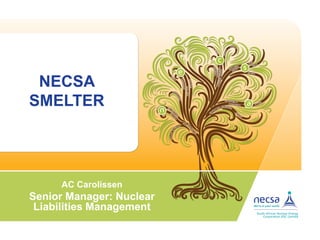 NECSA
SMELTER
AC Carolissen
Senior Manager: Nuclear
Liabilities Management
 