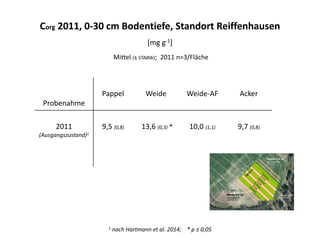 Probenahme
Pappel Weide Weide-AF Acker
2011
(Ausgangszustand)1
9,5 (0,8) 13,6 (0,3) * 10,0 (1,1) 9,7 (0,8)
1 nach Hartmann et al. 2014; * p ≤ 0,05
Corg 2011, 0-30 cm Bodentiefe, Standort Reiffenhausen
[mg g-1]
Mittel (± STABW); 2011 n=3/Fläche
 