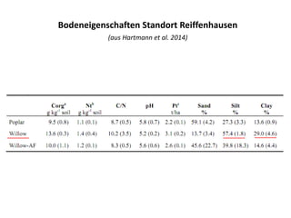 Bodeneigenschaften Standort Reiffenhausen
(aus Hartmann et al. 2014)
 