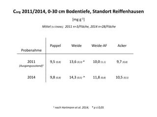 Probenahme
Pappel Weide Weide-AF Acker
2011
(Ausgangszustand)1
9,5 (0,8) 13,6 (0,3) * 10,0 (1,1) 9,7 (0,8)
2014 9,8 (0,8) 14,3 (0,5) * 11,8 (0,8) 10,5 (0,5)
1 nach Hartmann et al. 2014; * p ≤ 0,05
Corg 2011/2014, 0-30 cm Bodentiefe, Standort Reiffenhausen
[mg g-1]
Mittel (± STABW); 2011 n=3/Fläche, 2014 n=28/Fläche
 