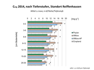 0 2 4 6 8 10 12 14 16 18 20
0-3
3-6
6-9
9-12
12-15
15-20
20-30
c
a
b
c
b
a
b
b
b
a
b
b
b
a
b
b
b
a
ab
b
b
a
a
b
b
a
a
a
Corg 2014, nach Tiefenstufen, Standort Reiffenhausen
Mittel (± STABW); n=4/Fläche/Tiefenstufe
[mg g-1]
[cmBodentiefe]
a/b/c = p ≤ 0,05 pro Tiefenstufe
 