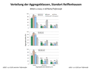 Verteilung der Aggregatklassen, Standort Reiffenhausen
Mittel (± STABW); n=4/Fläche/Tiefenstufe
a/b/c = p ≤ 0,05 pro TiefenstufeA/B/C = p ≤ 0,05 zwischen Tiefenstufen
 