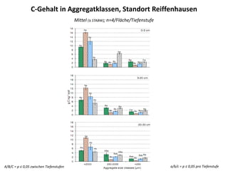 C-Gehalt in Aggregatklassen, Standort Reiffenhausen
Mittel (± STABW); n=4/Fläche/Tiefenstufe
A/B/C = p ≤ 0,05 zwischen Tiefenstufen a/b/c = p ≤ 0,05 pro Tiefenstufe
 